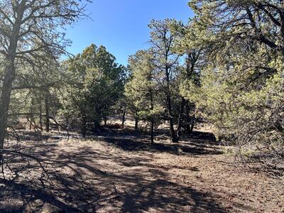 Lot 163 Windmill Drive, Datil 