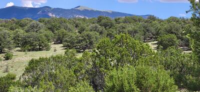 38.9 Acres Dark Canyon, Magdalena 