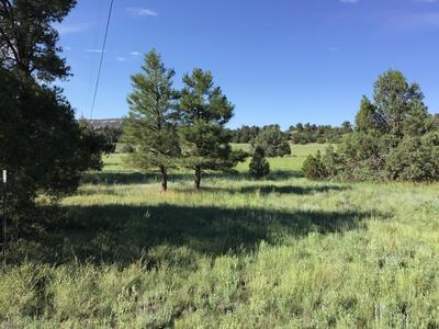 Lot 44 Sunflower Drive, Ramah 