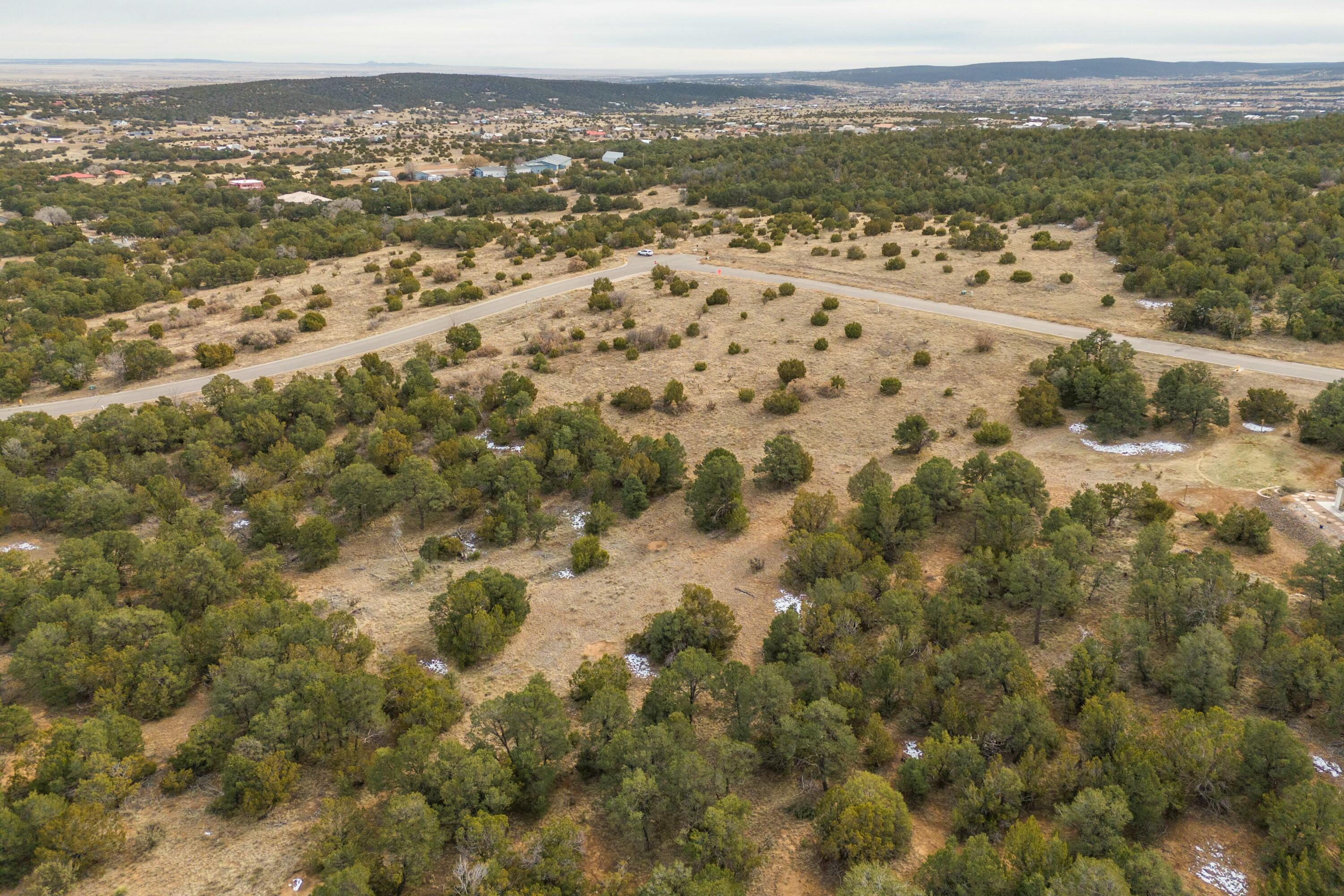 19 BOLIVAR Loop - Main Image