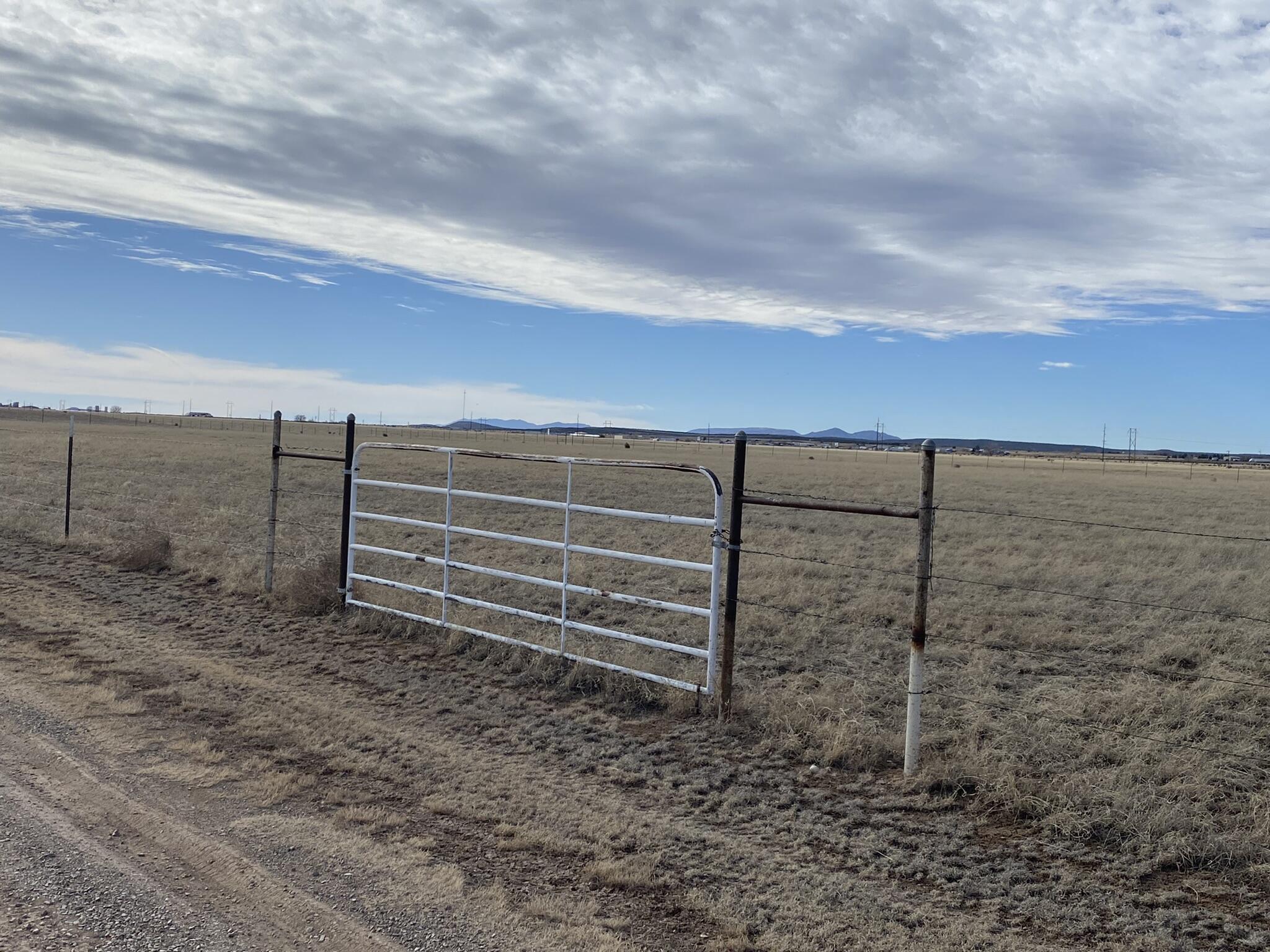Thompson Road - Main Image