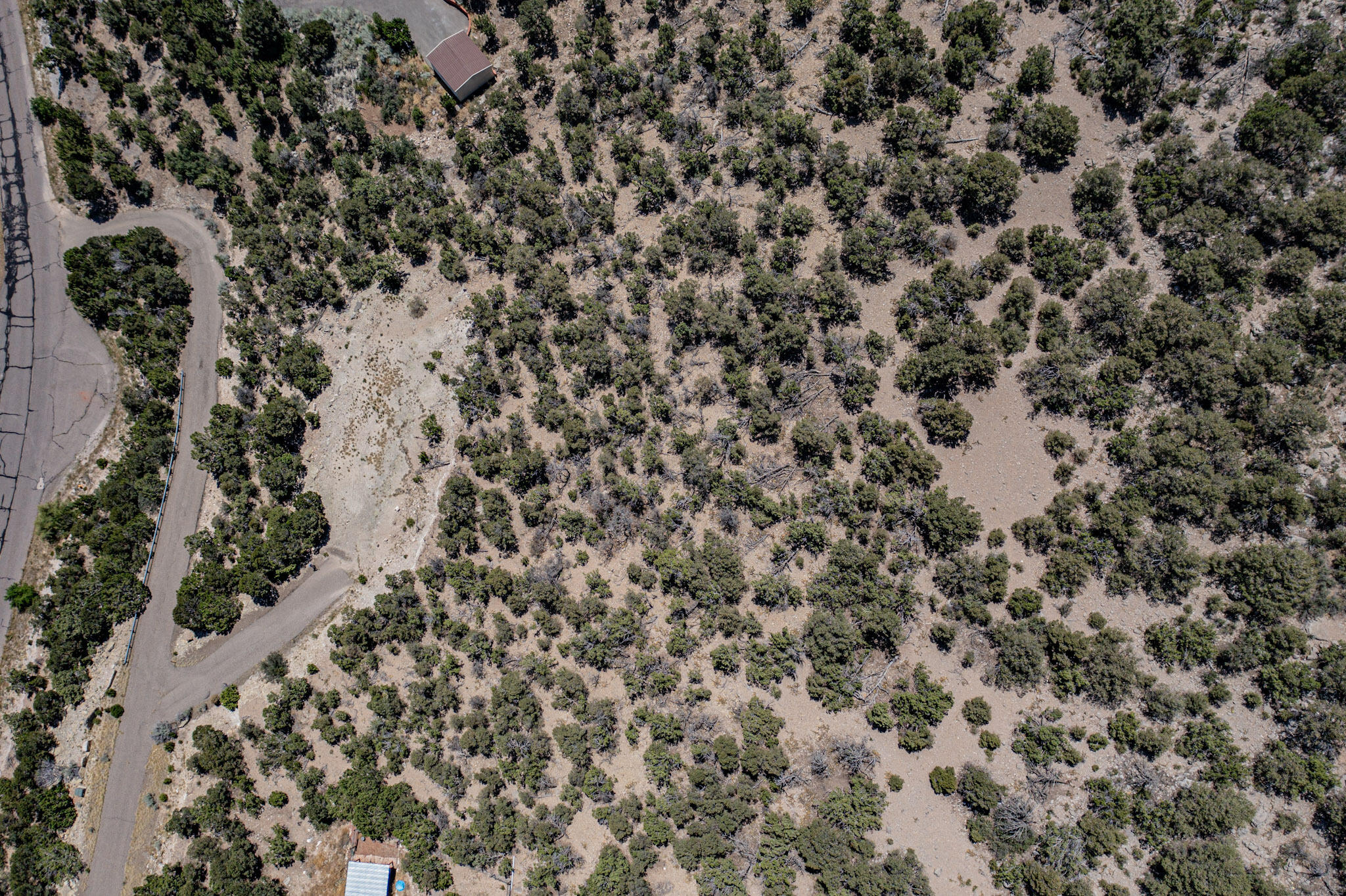 92 SANDIA MOUNTAIN RANCH Drive - Main Image