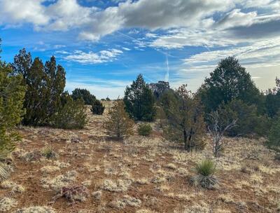 230 MORA Road, Tijeras 