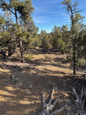 Rocky Knoll Ln Unit 92 Lot 228, Cubero 
