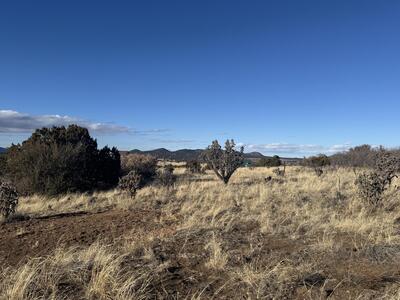 2 PUNCH Court, Tijeras 