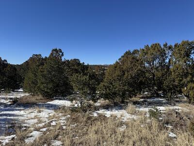 21 PUNCH Court, Tijeras 