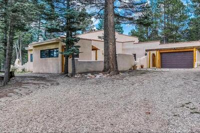 18 Meadow Brook Terrace, Angel Fire 