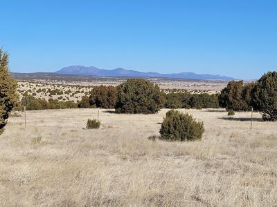 43 Bullock Road, Moriarty 