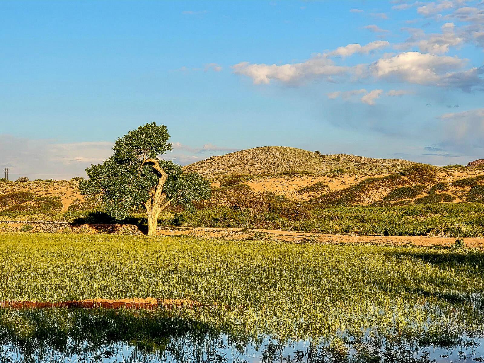 Sevilleta Elk Hills Ranch - Main Image