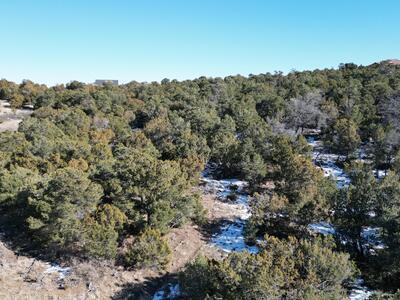 31 PUNCH Court, Tijeras 