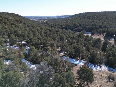 58 BOLIVAR, Tijeras 