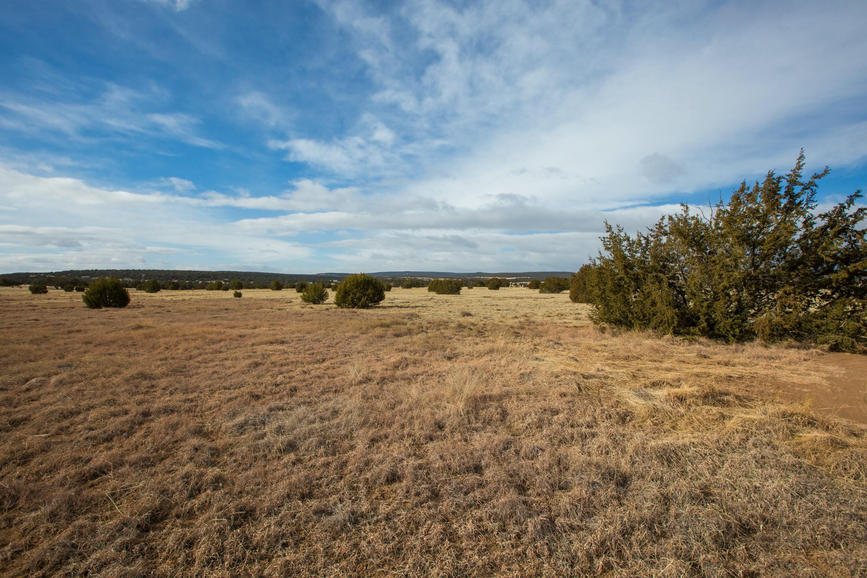 0 Edgewood - Main Image