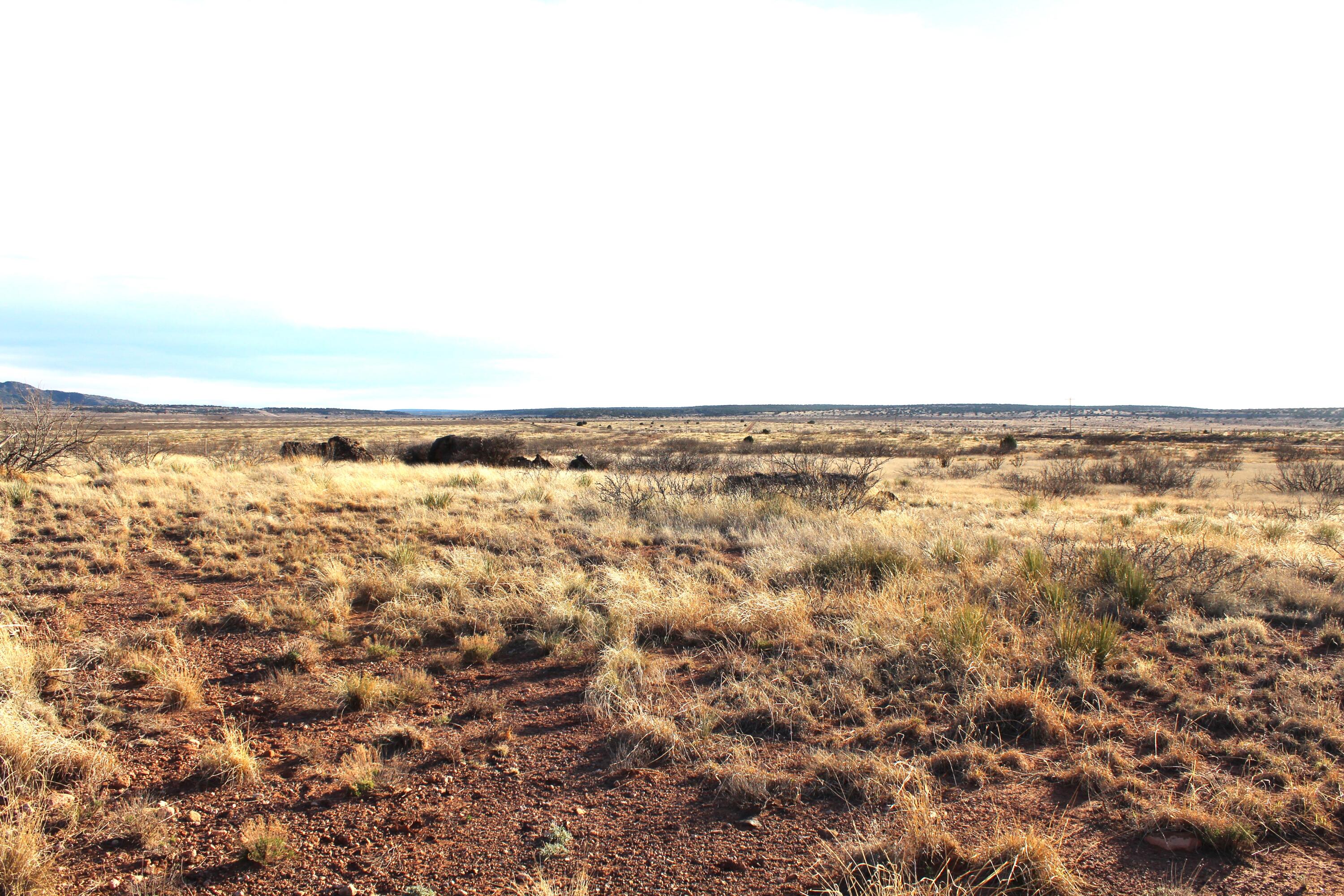 7306 NM Highway 104 - Main Image