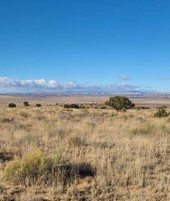 Tren Lot 2 Road, Los Lunas 