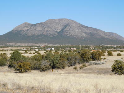 Alba Prado Court, Sandia Park 