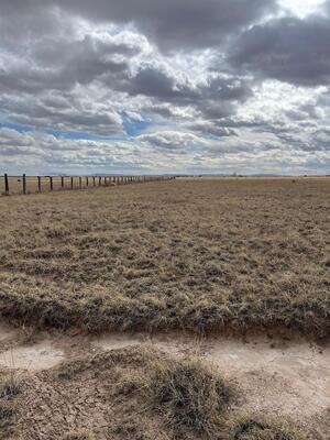 Cricket Lane Lot 22, Estancia 