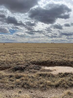 Cricket Lane Lot 21, Estancia 
