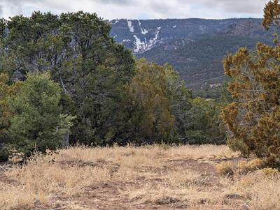 Kings Meadow H-4 Road, Sandia Park 
