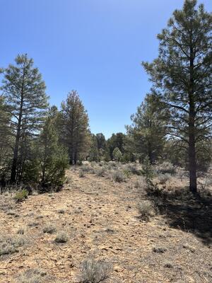 Lot 239 Ranch Drive, Ramah 