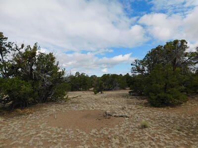 Lot 138 Agua Fria Loop, Quemado 