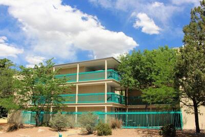 222 Maple Street NE Apt 1, Albuquerque