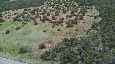 CANDIDO Road, Tijeras 