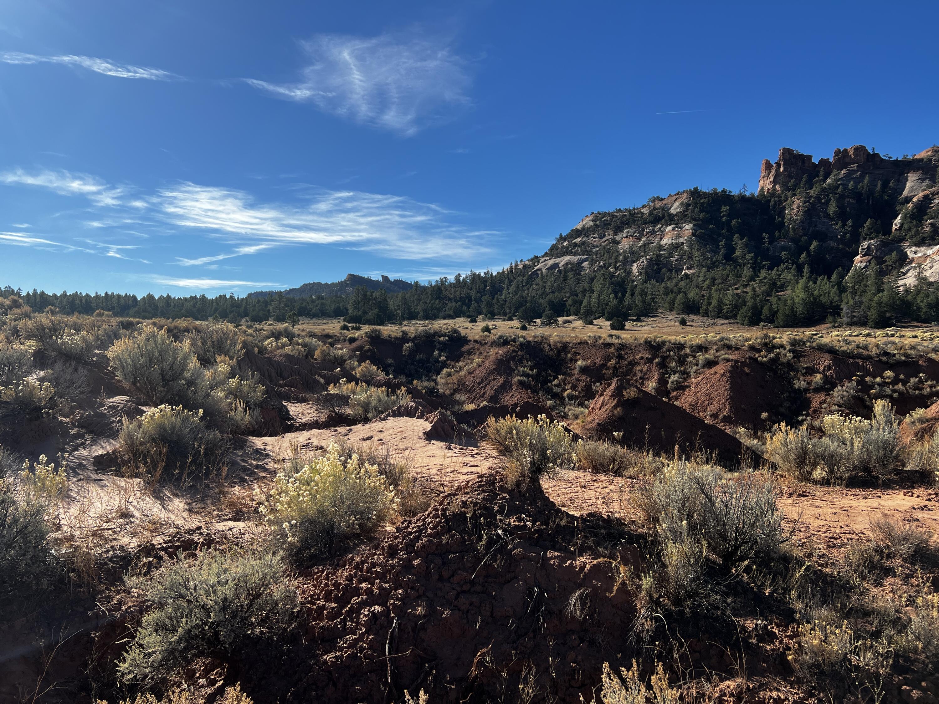 Lot 5 Box S Ranch Road - Main Image