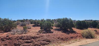 302 Moonlight Rdg Road, Placitas 
