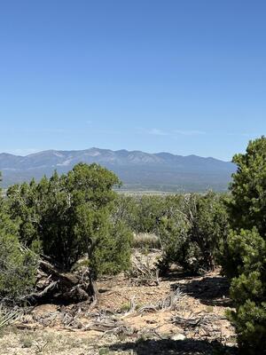 10 SAN MIGUEL Trail, Mountainair 