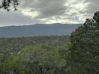 25 Lost Valley Loop, Cedar Crest 