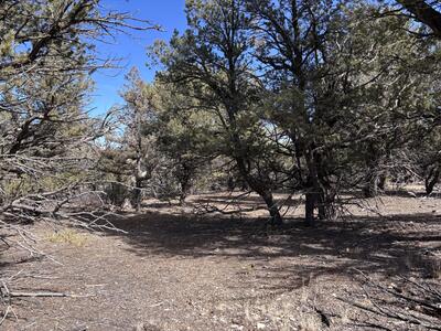 Unit 1 Tract 117 El Vado Lake Subd., Tierra Amarilla 