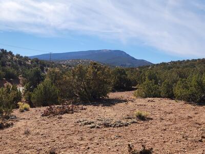25 CAMINO DEL TECOLOTE, Placitas 