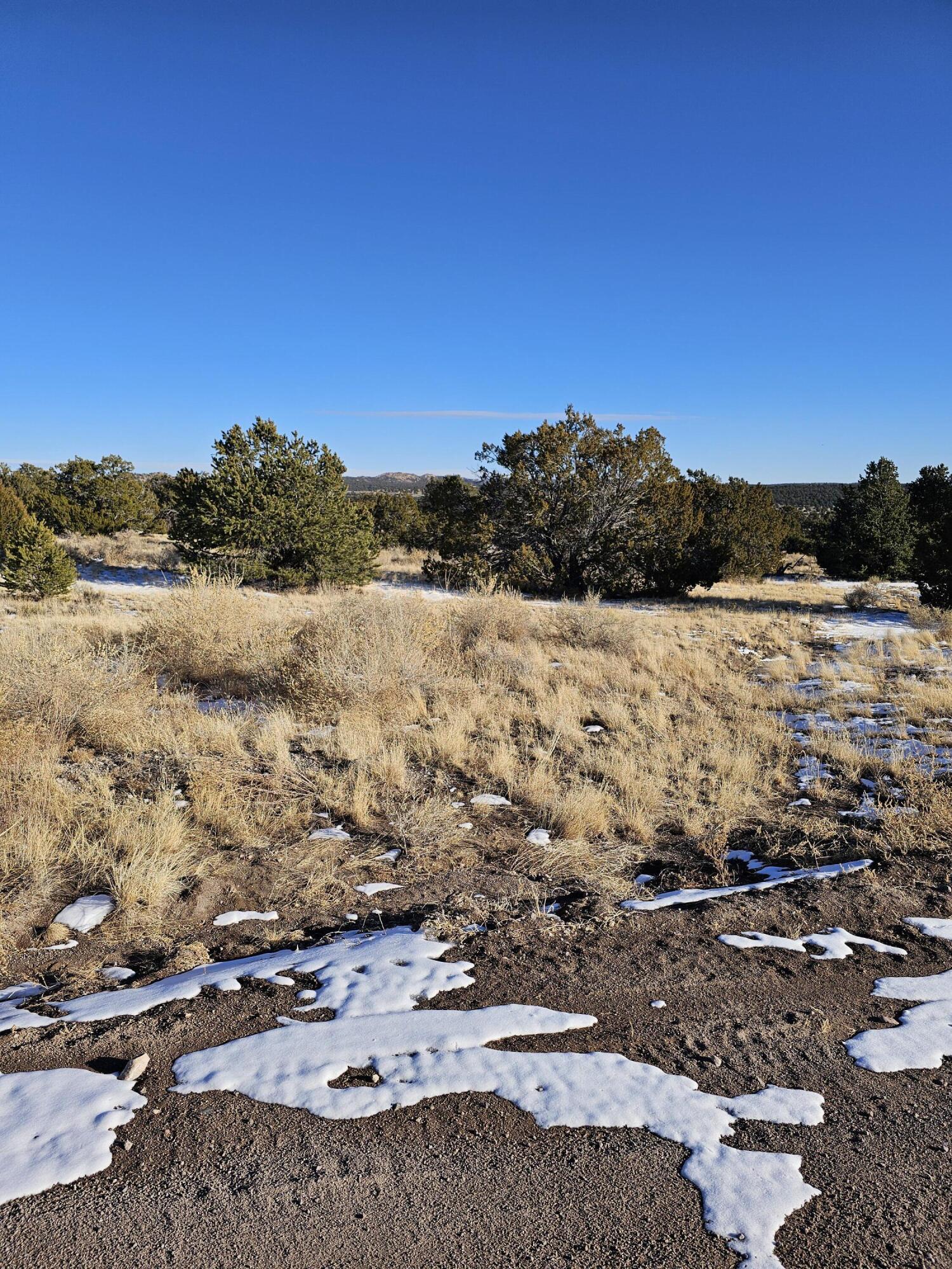 50 Highway 60 - Main Image