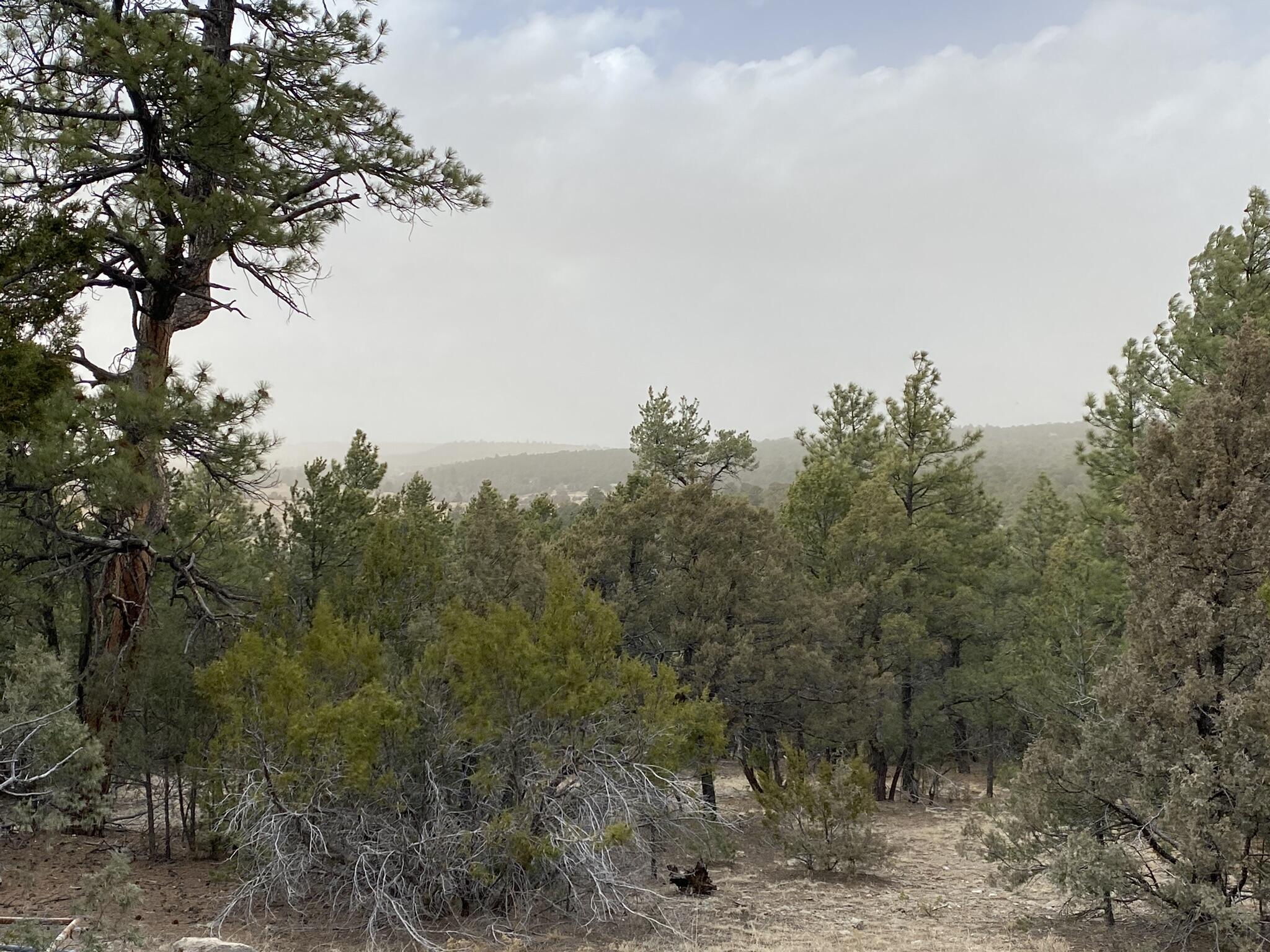 156 Holli Loop - Main Image