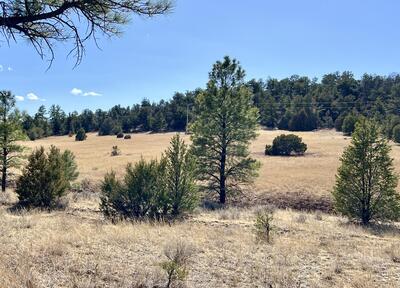 Lot 9 Juniper Drive, Ramah 