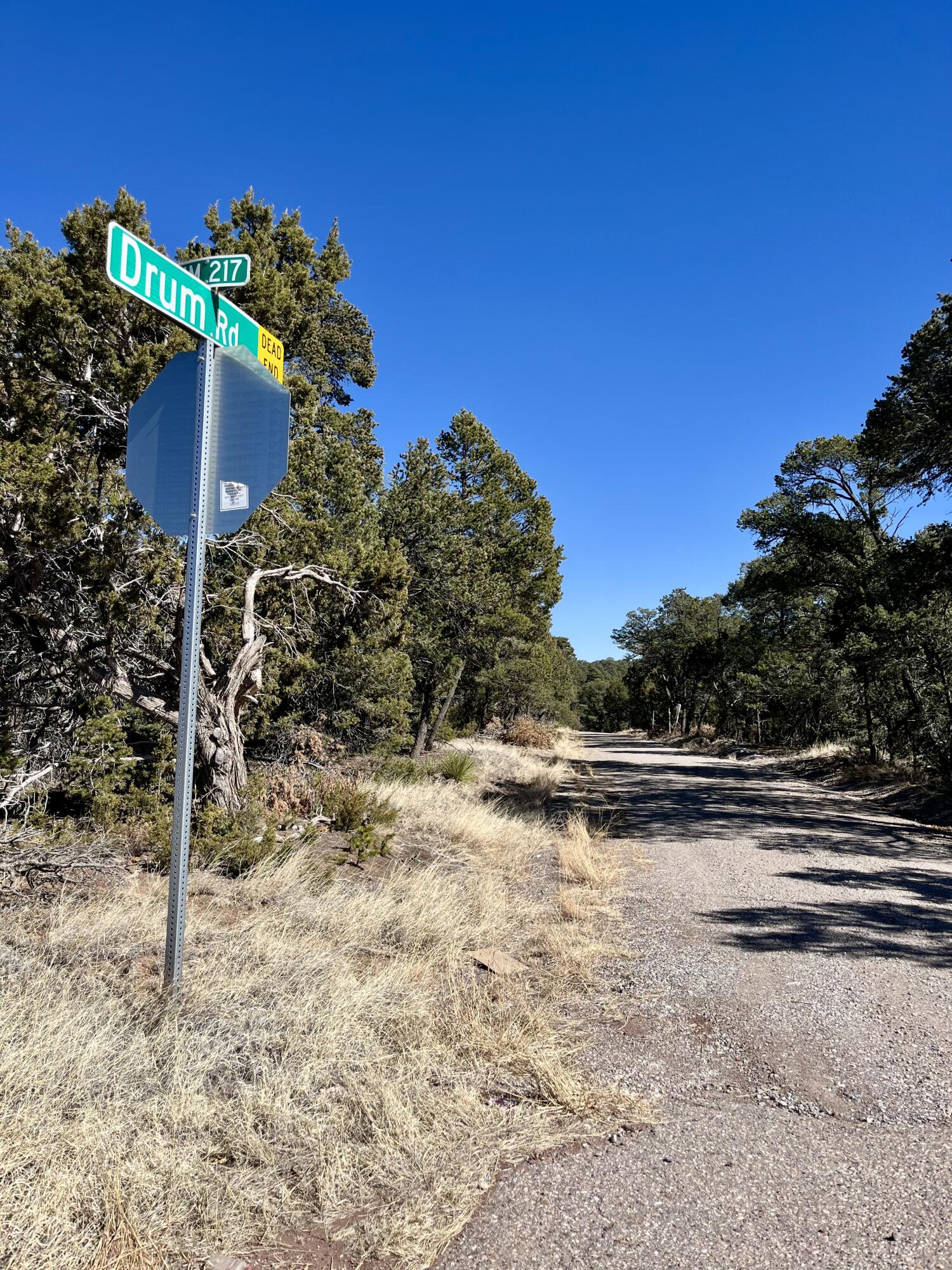 5 DRUM Road - Main Image