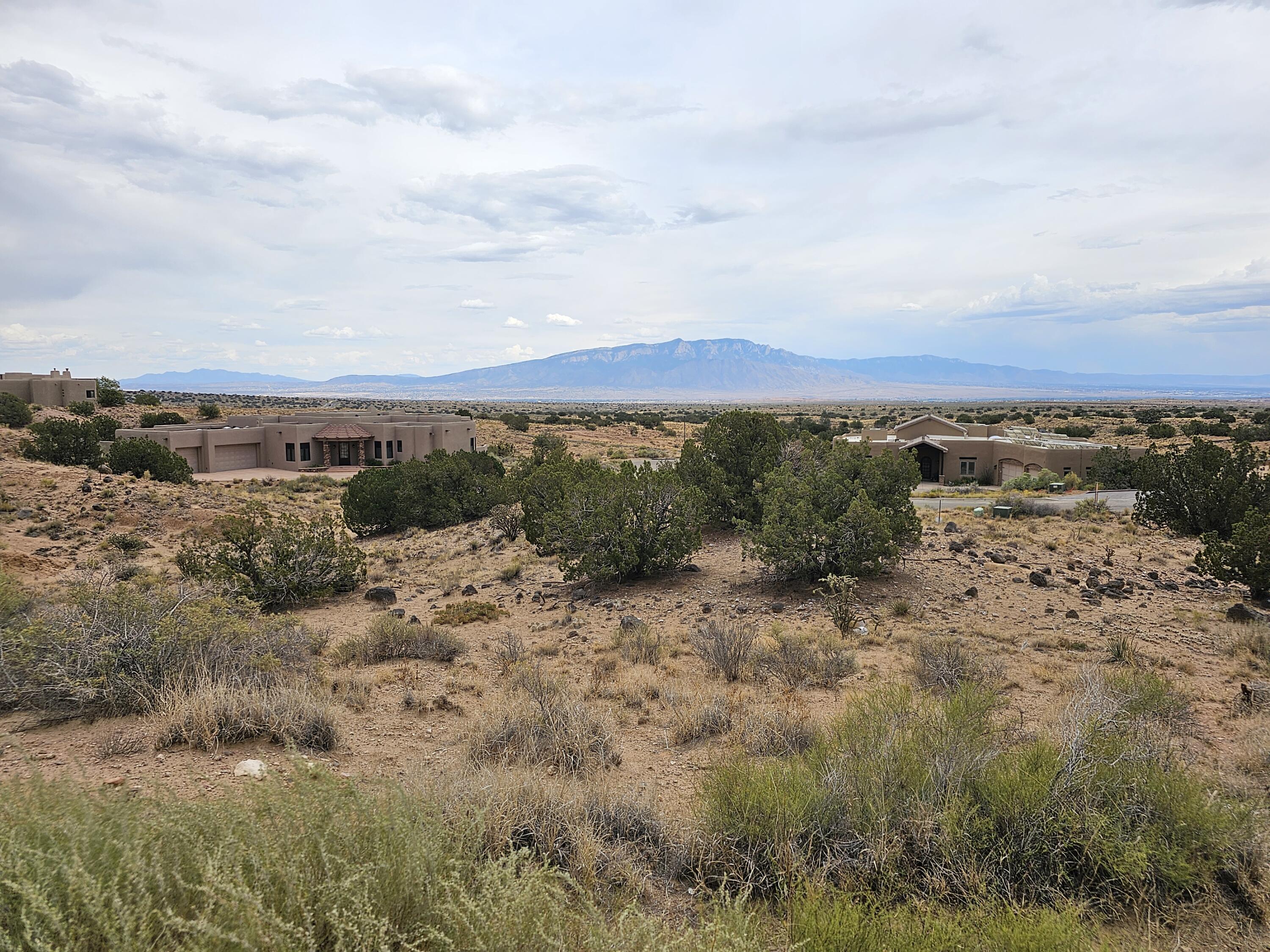 1012072410 Desert Zinnia Road NE - Main Image