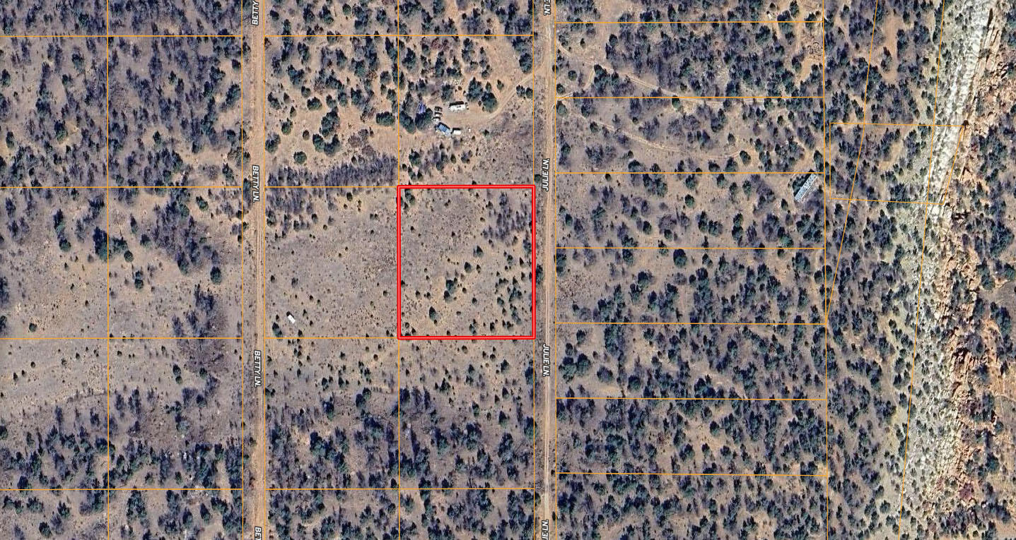 Lot 531 Julie Lane - Main Image