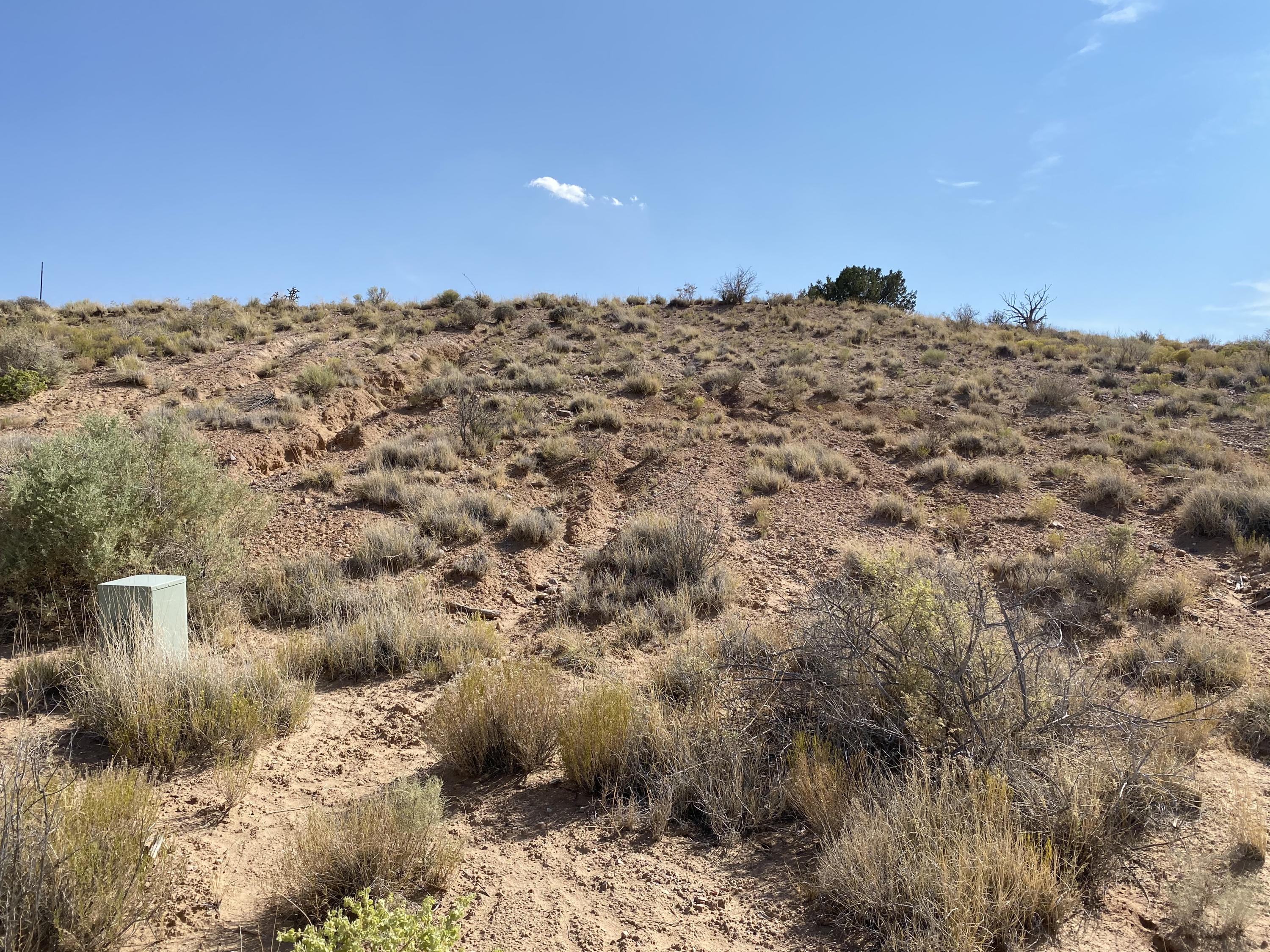 2409 DESERT MARIGOLD Road NE - Main Image