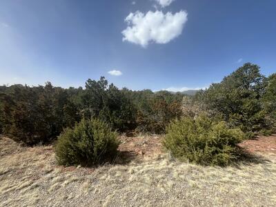 58 MOCCASIN Trail, Sandia Park 