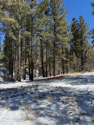 Sawmill Canyon Road, Ramah 