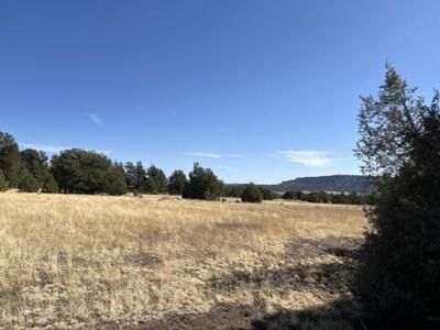 Lot 9 Copperweed Road, Ramah 