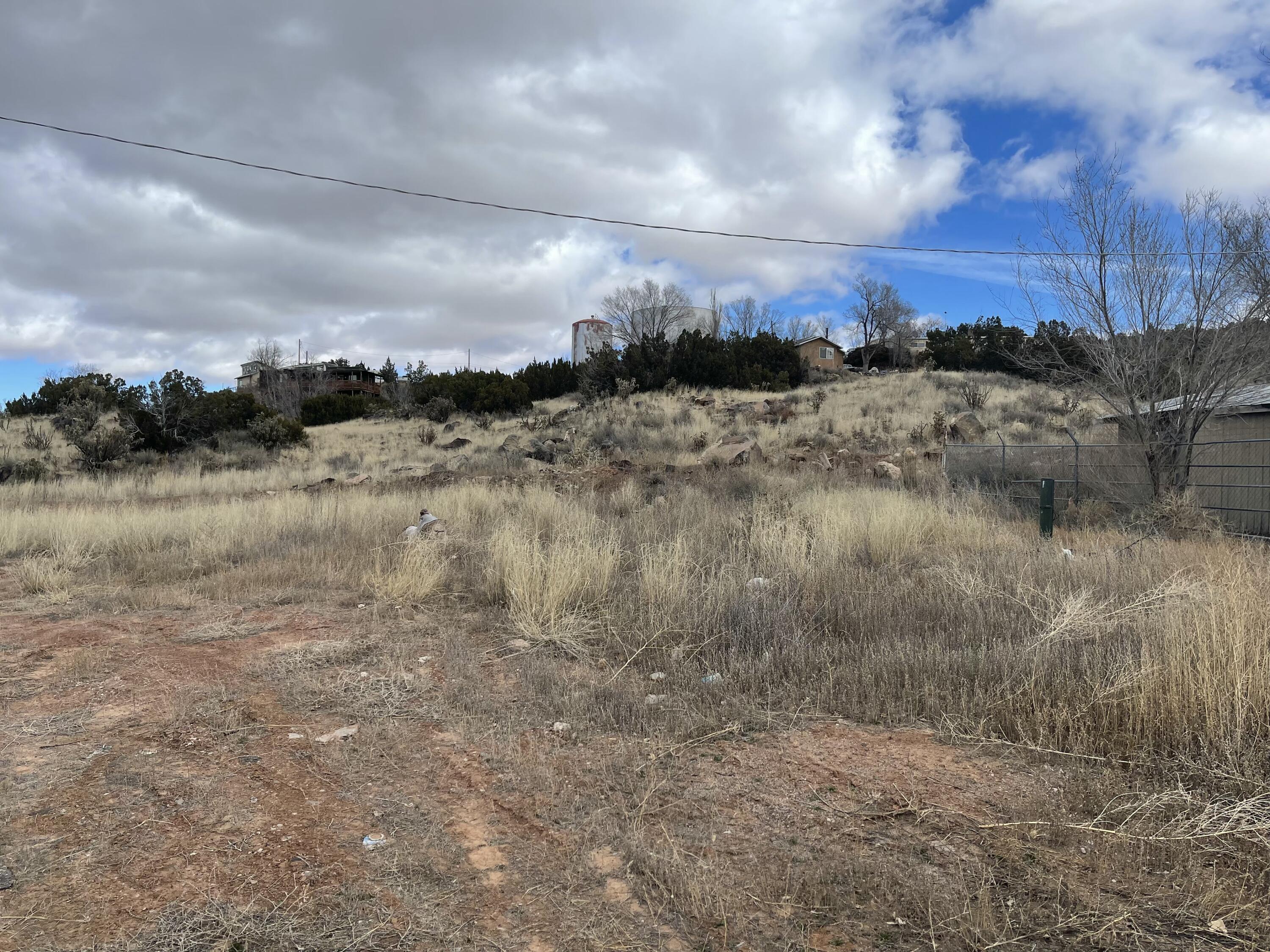 FOREST PARK Road - Main Image