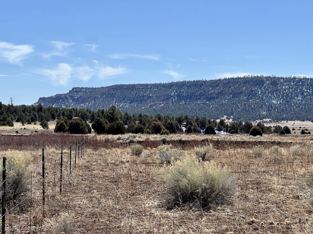 Tract C-1 Forest Road 157 - Main Image