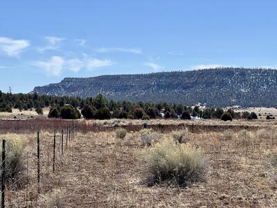 Tract C-1 Forest Road 157, Ramah 