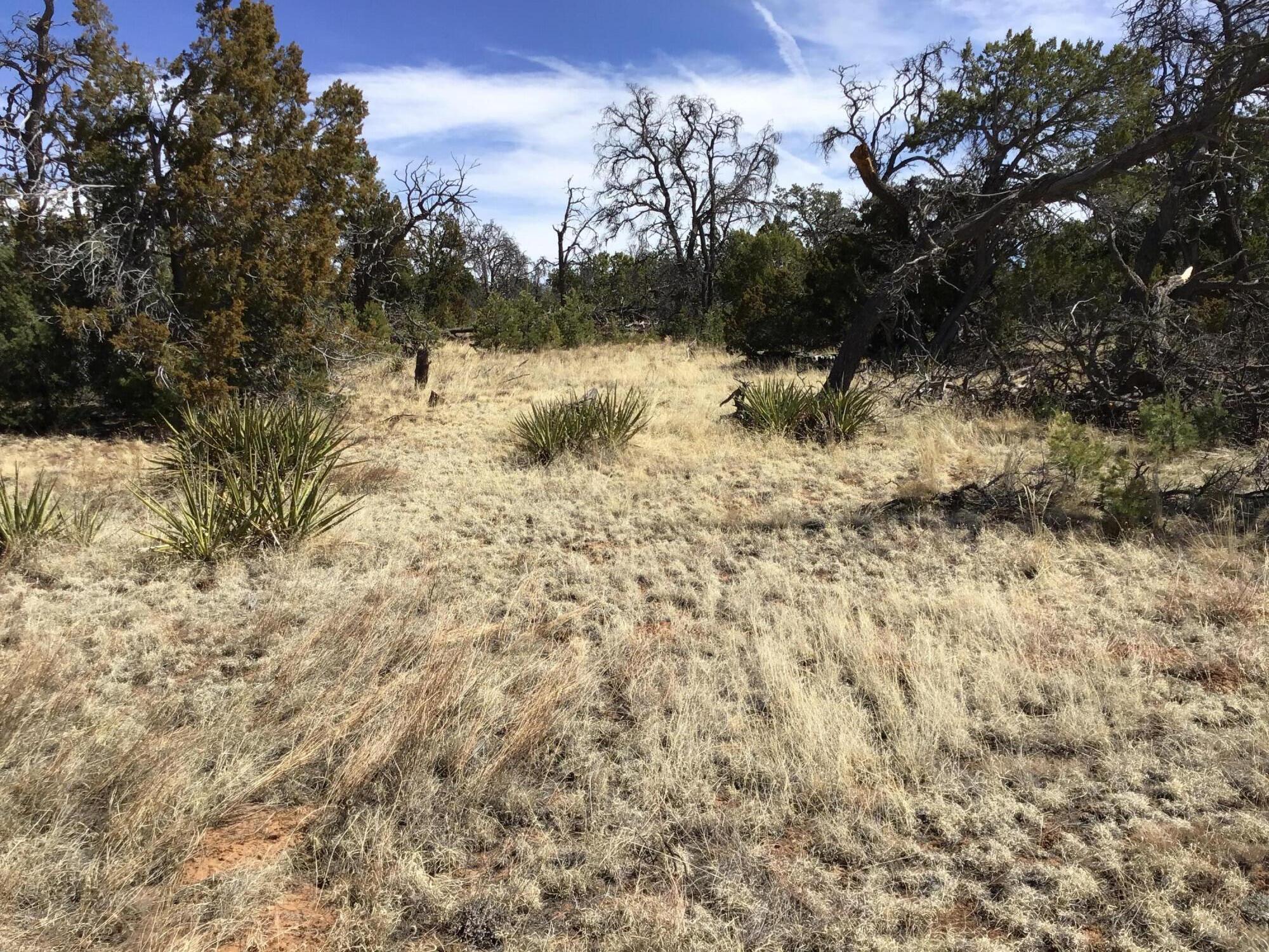 Lot 651 Gabe Road - Main Image