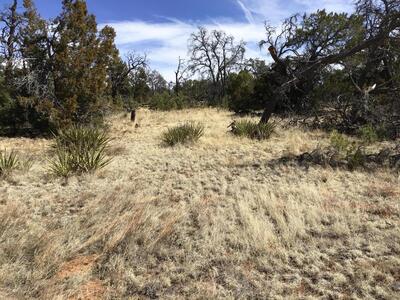 Lot 651 Gabe Road, Ramah 