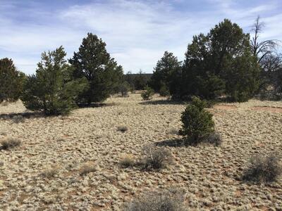 Lot 15 Country Lane, Ramah 