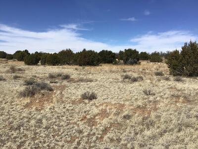 Lot 16 Country Lane, Ramah 