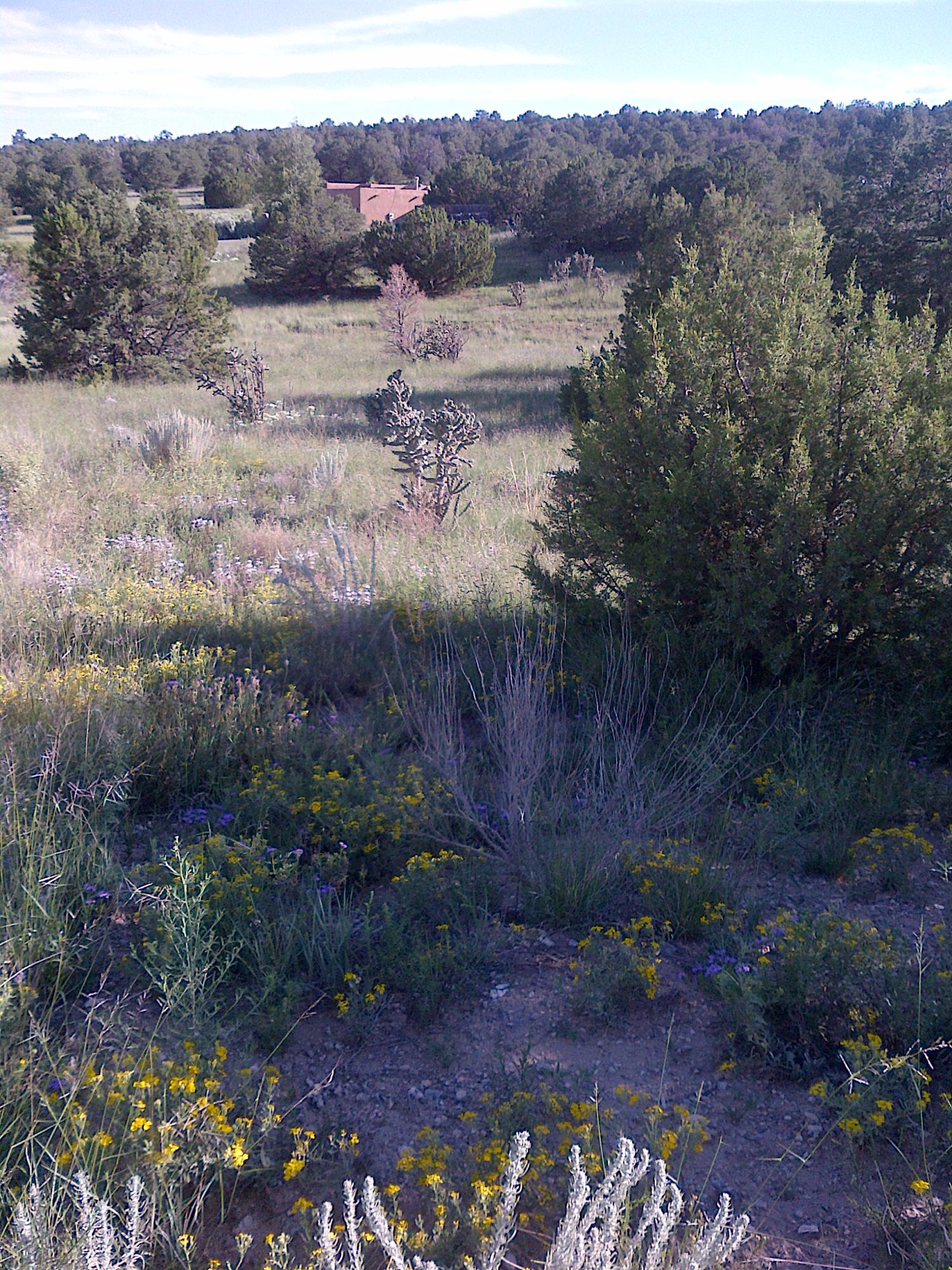 0 Hilburn Court - Main Image